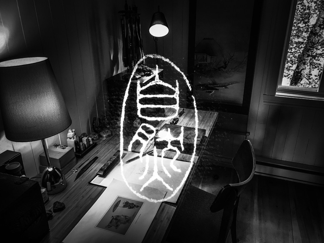 Fichier 17-07-25 08 33 59